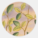 Suche nach grünes blatt aufkleber Pflanze