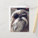 Recherche de monogramme drôle cartes postales Rétro