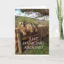 Suche nach die coole gruppe karten einladungen Fotografie