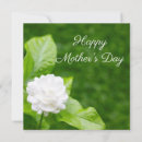 Suche nach jasmin karten Blume