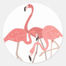 Suche nach tropischer vogel aufkleber Rosa