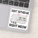 Recherche de chat fâché Amoureux des chats