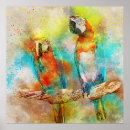 Recherche de peinture de perroquet posters Macaw