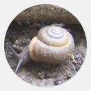 Recherche de escargots autocollants Enfants