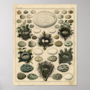 Suche nach nummeriert poster Vintag