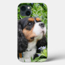 Suche nach tri iphone hüllen Haustier