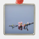 Recherche de fleurs de cerisier ornements Branche