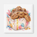 Suche nach lustige schildkröte magnete Schildkrötenkunst