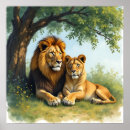 Suche nach majestätischer löwe poster Safari