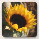 Recherche de jardin bar Tournesol
