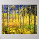 Suche nach bäume poster Color