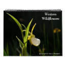 Recherche de fleur de lys calendriers Fleurs