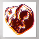 Recherche de psyche posters Psyché