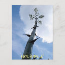 Recherche de agaves cartes postales Plante