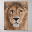 Suche nach lion head poster Große katzen
