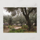 Recherche de jardin de gethsemane cartes postales Israël