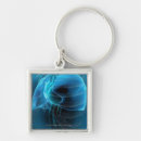 Suche nach menschliches herz schlüsselanhänger Vertikal