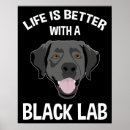 Suche nach labrador cartoon poster Spaß