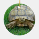 Suche nach schildkröten ornamente Reptil