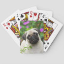 Suche nach mops spielkarten Welpe