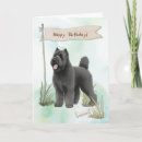 Suche nach flandres karten Bouvier des flandres