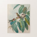 Recherche de oiseaux tropicaux puzzles Vintage