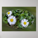 Suche nach garten fenster poster Grün