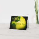 Suche nach tomato karten Gemüse