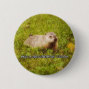 Recherche de marmotte badges Jour de marmotte