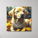 Suche nach labrador retriever leinwandbilder Tiere