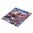 Suche nach cherry blossom fliesen Blume