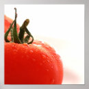 Recherche de tomate posters Légume