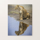 Suche nach löwin puzzle Tier