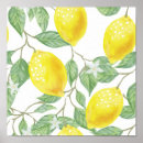 Recherche de citrus fruit posters Kitchen