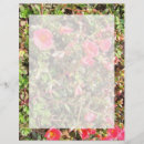 Suche nach sedum Pflanze