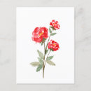 Suche nach kleine blumen postkarten Aquarell