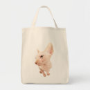 Suche nach sphynx katzen taschen Kätzchen