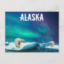 Suche nach aurora borealis postkarten Alaska