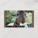 Recherche de animal de zoo cartes visite Entreprise