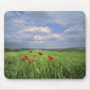 Recherche de coquelicots tapis souris Vert