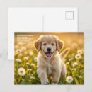 Recherche de symbolisme cartes postales Animaux