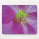 Suche nach lila blumen mousepads Blüte
