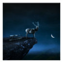 Recherche de clair lune posters Coucher de soleil