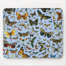 Recherche de dessin papillon tapis souris Illustration
