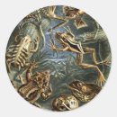 Suche nach kröten aufkleber Amphibien