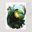 Recherche de toucans cartes postales Forêt tropicale