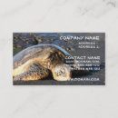 Recherche de tortue mer cartes visite Tortues de mer