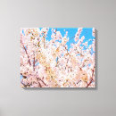 Suche nach sakura leinwandbilder Kirschbaum