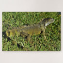 Recherche de lézard puzzles Mignon