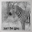 Recherche de cool zebra posters Animaux